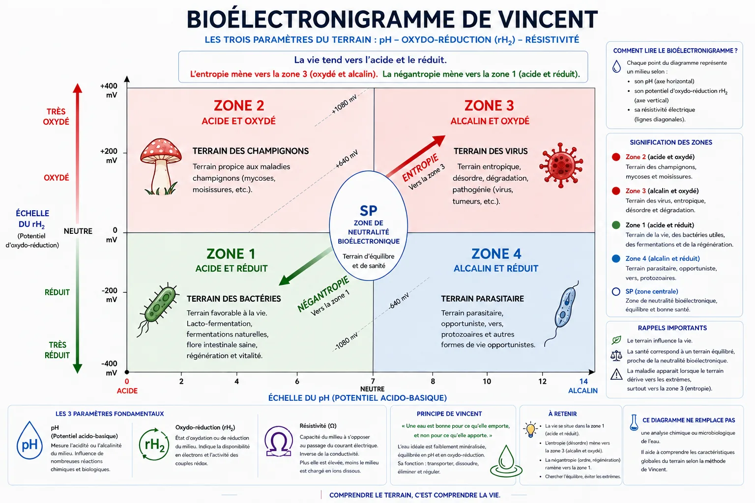 Bioélectronigramme de Vincent présentant le pH, le rH₂, la résistivité et les quatre zones du terrain